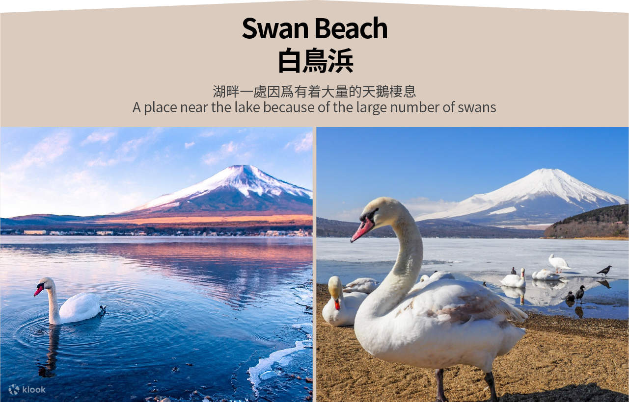 Mount Fuji & Izu & Hakone [wpsm_custom_meta type=date field=month] [wpsm_custom_meta type=date field=year] : 18% OFF - Image 8